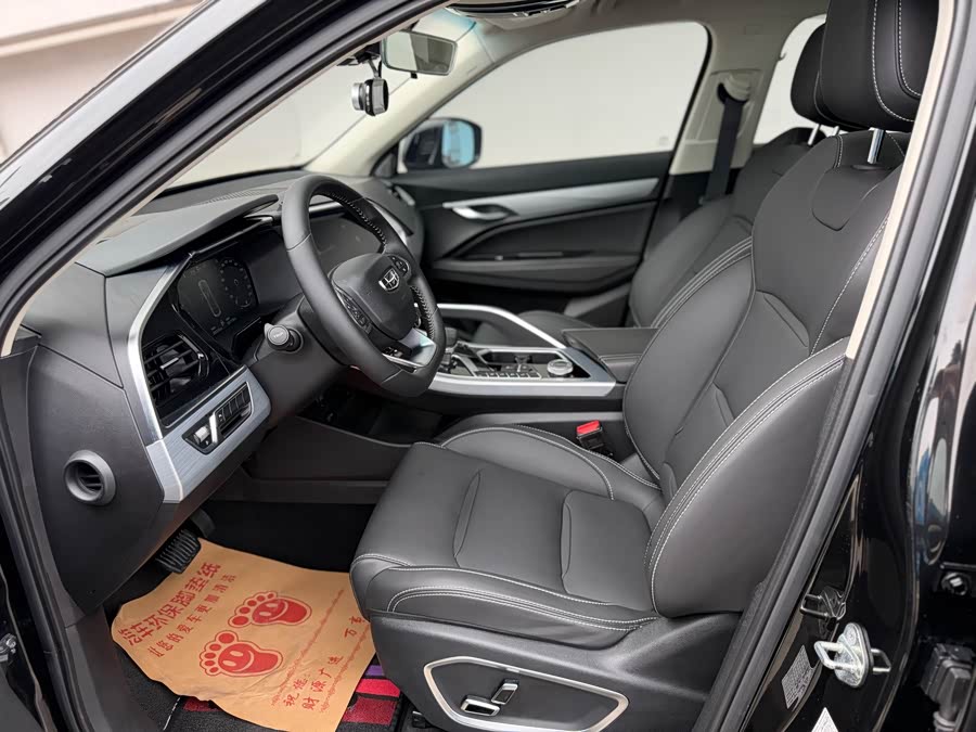 GEELY Tugella New Energy 2020 car image #5