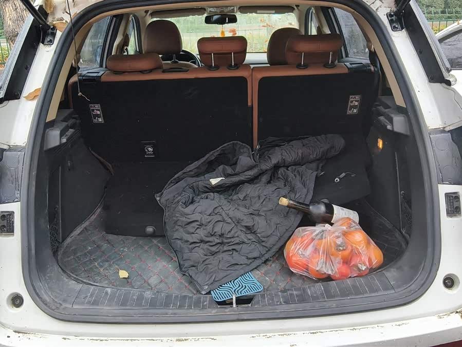 Haval H6 Coupe 2016 immagine di auto #5