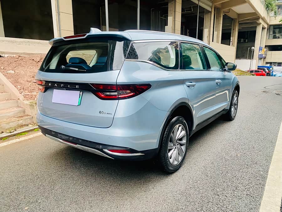 睿蓝汽车 枫叶80v PRO 2023 汽车图片 #5