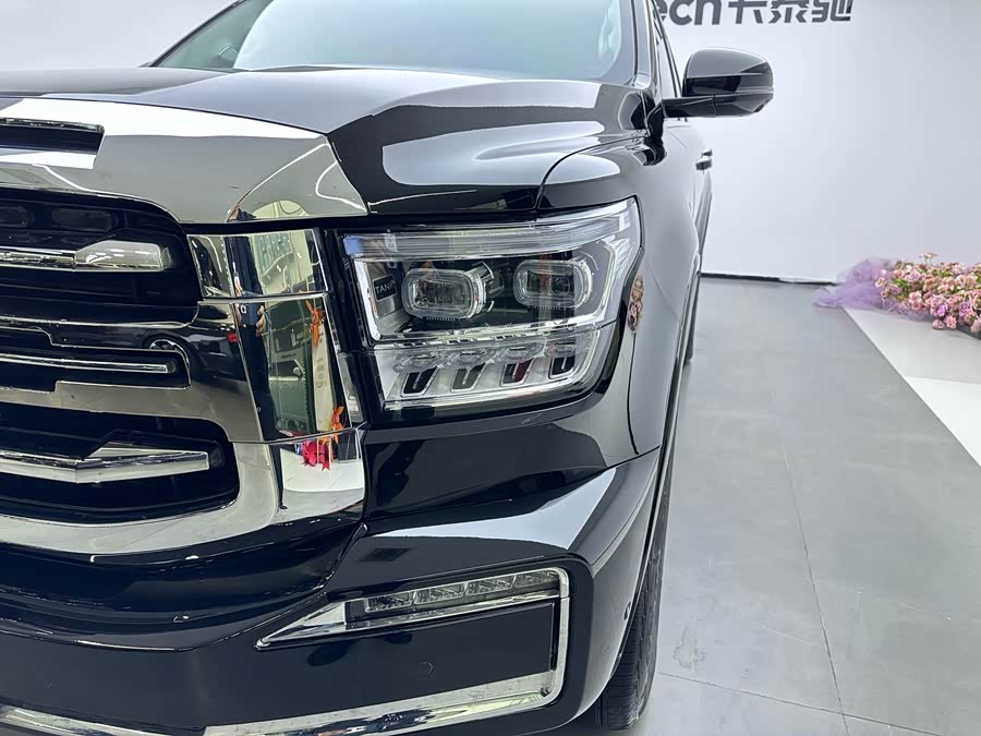 Tank 500 New Energy 2025 immagine di auto #5