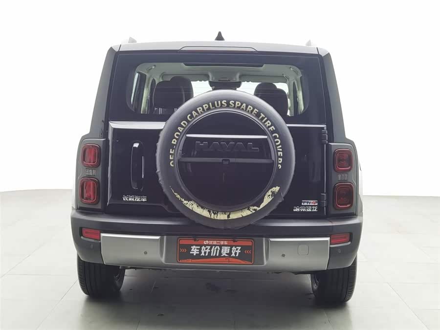 Haval Raptor New Energy 2023 car image #5