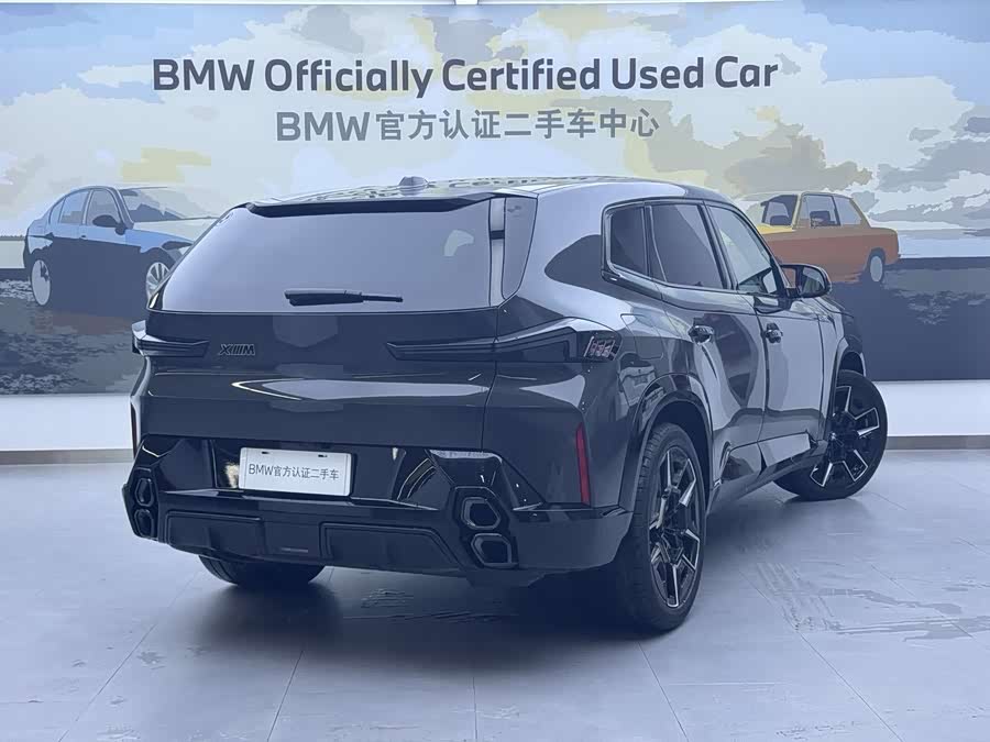 BMW XM car image #5