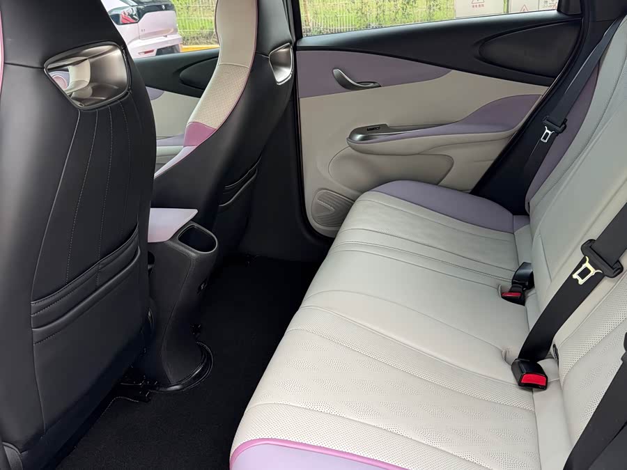 比亚迪 海豚 2023 汽车图片 #5