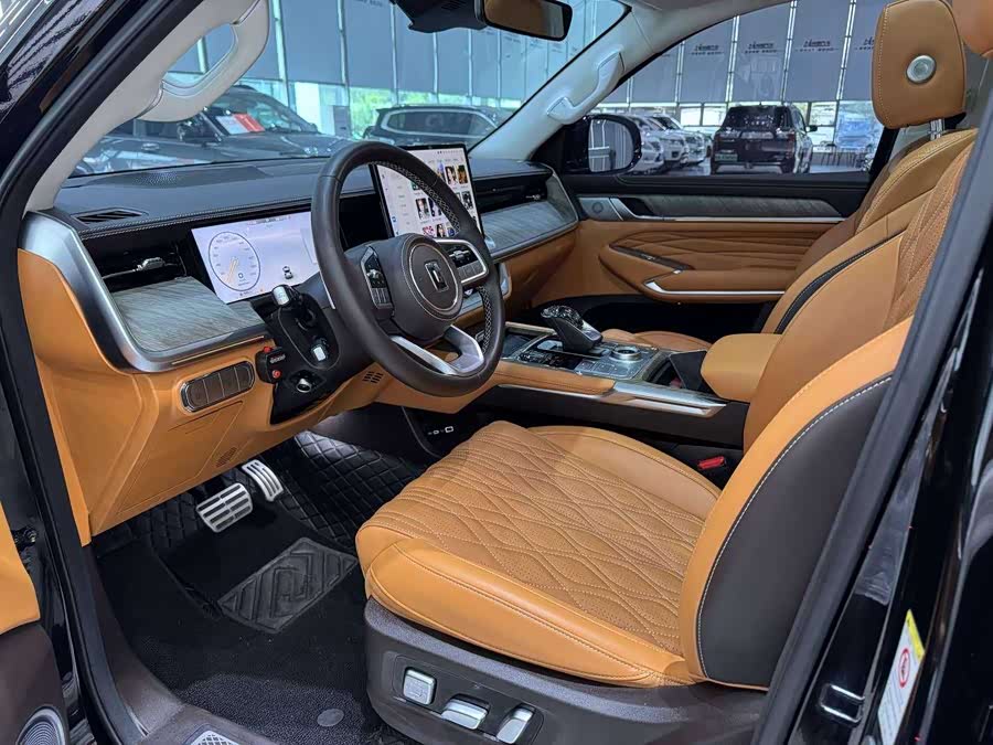 Tank 500 New Energy 2023 car image #5