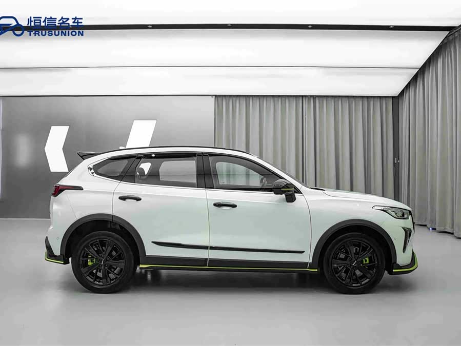 Haval Rabbit 2021 car image #5