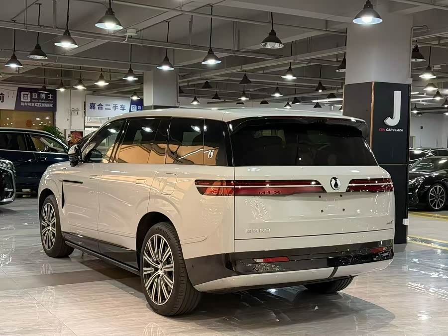 Denza N9 2025 #5 Denza N9 2025 car image #5