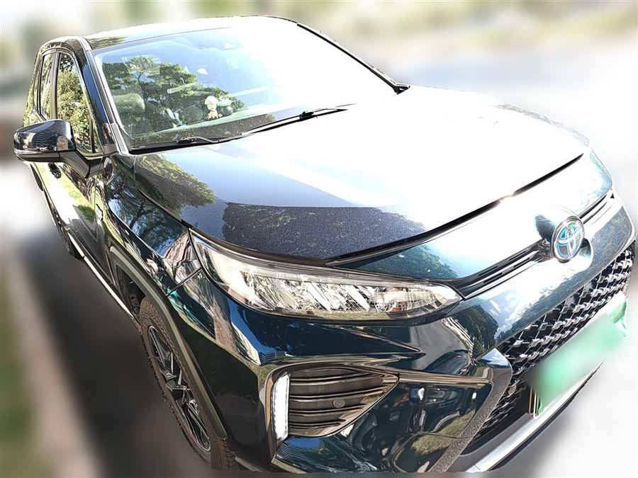 Toyota Wildlander New Energy 2021 immagine di auto #5