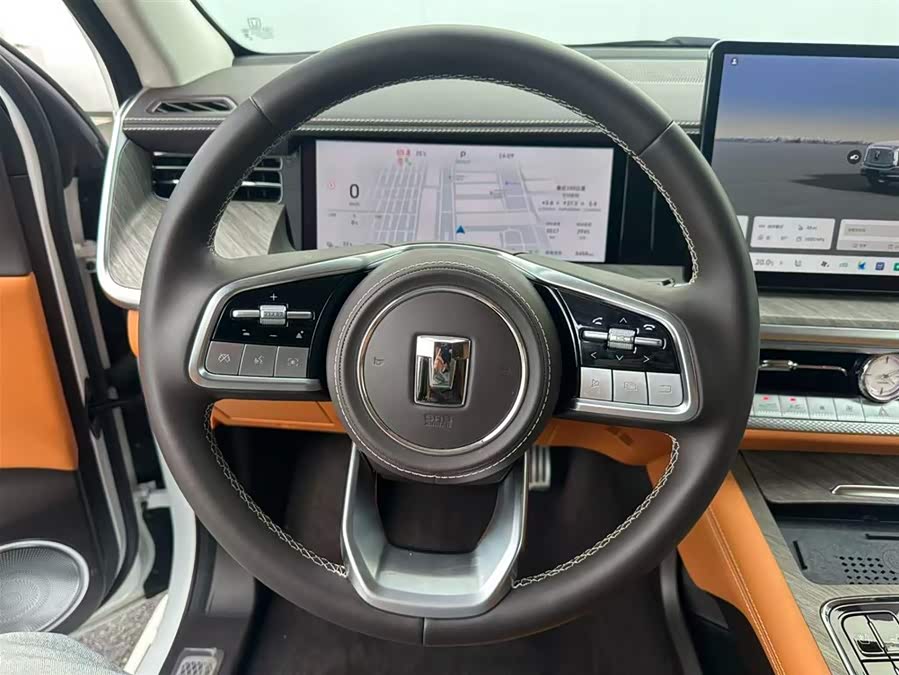 Tank 500 New Energy 2024 car image #5