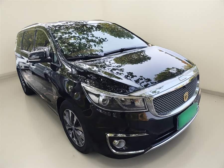 Kia Carnival (Imported) 2016 car image #5