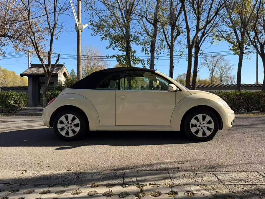 Volkswagen Beetle 2010 immagine di auto #5