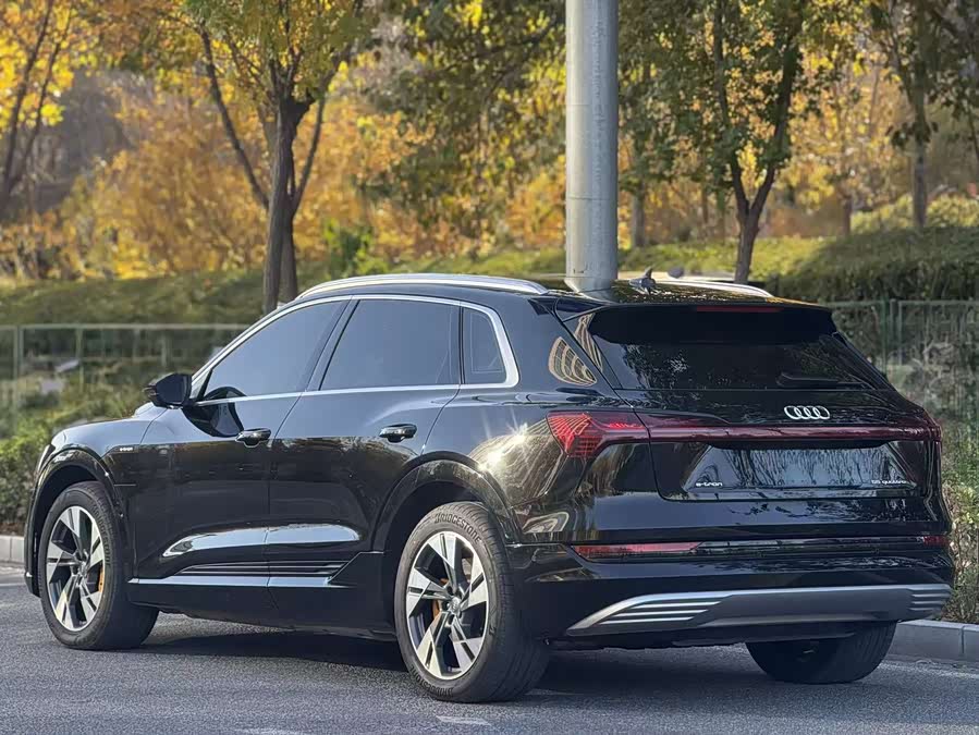 Audi e-tron (Imported) 2022 car image #5