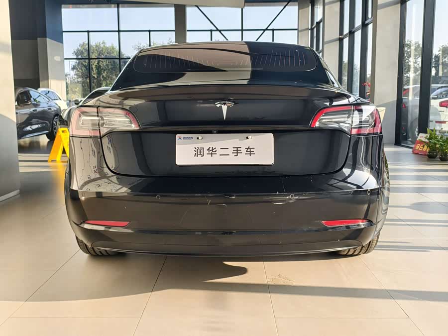 特斯拉 Model 3(进口) 2019 汽车图片 #5