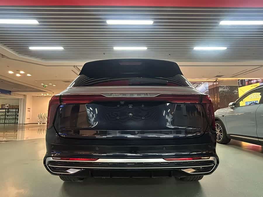 HongQi E-HS9 2023 image de voiture #5