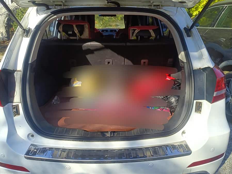 Haval H2 2014 #5 Haval H2 2014 imagem de carro #5