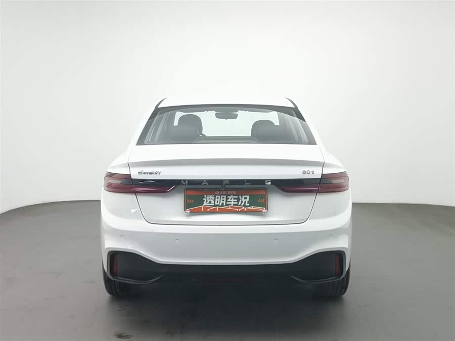 睿蓝汽车 枫叶60s 2023 汽车图片 #5