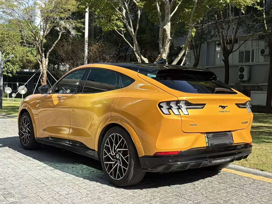 Ford Mustang Mach-E 2024 car image #5