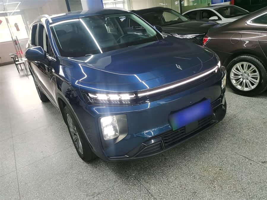 睿蓝汽车 睿蓝9 2023 汽车图片 #5