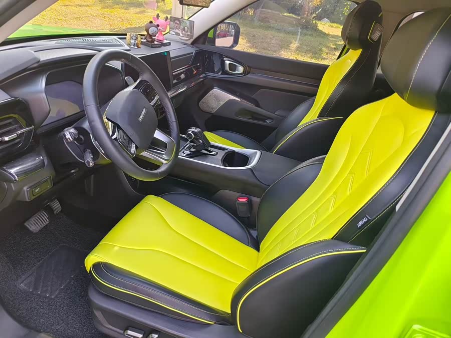 Haval Dargo 2022 immagine di auto #5