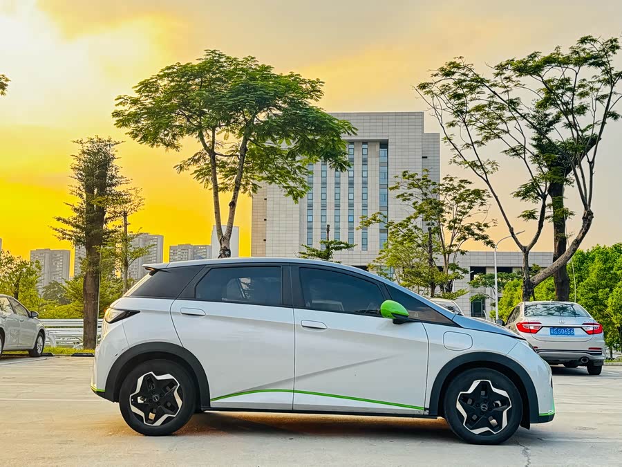 比亚迪 海豚 2022 汽车图片 #5