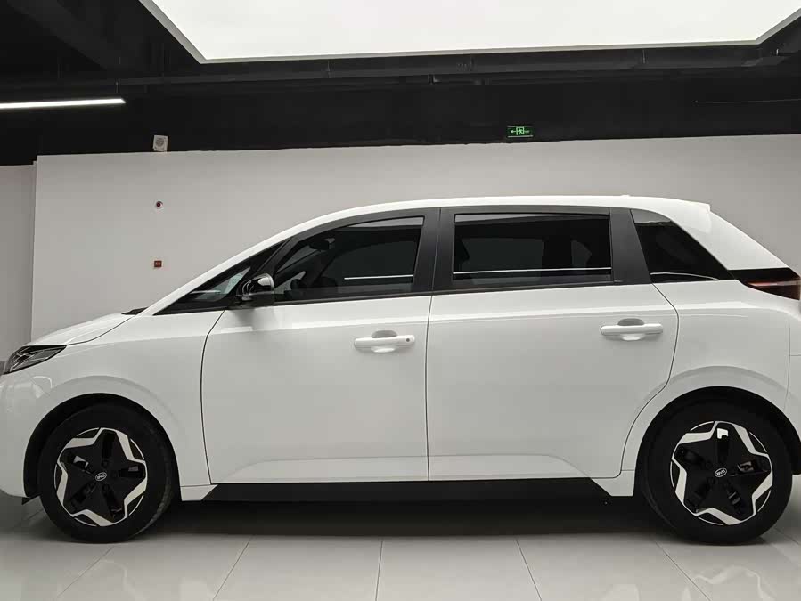 BYD D1 2023 #5 BYD D1 2023 изображение автомобиля #5