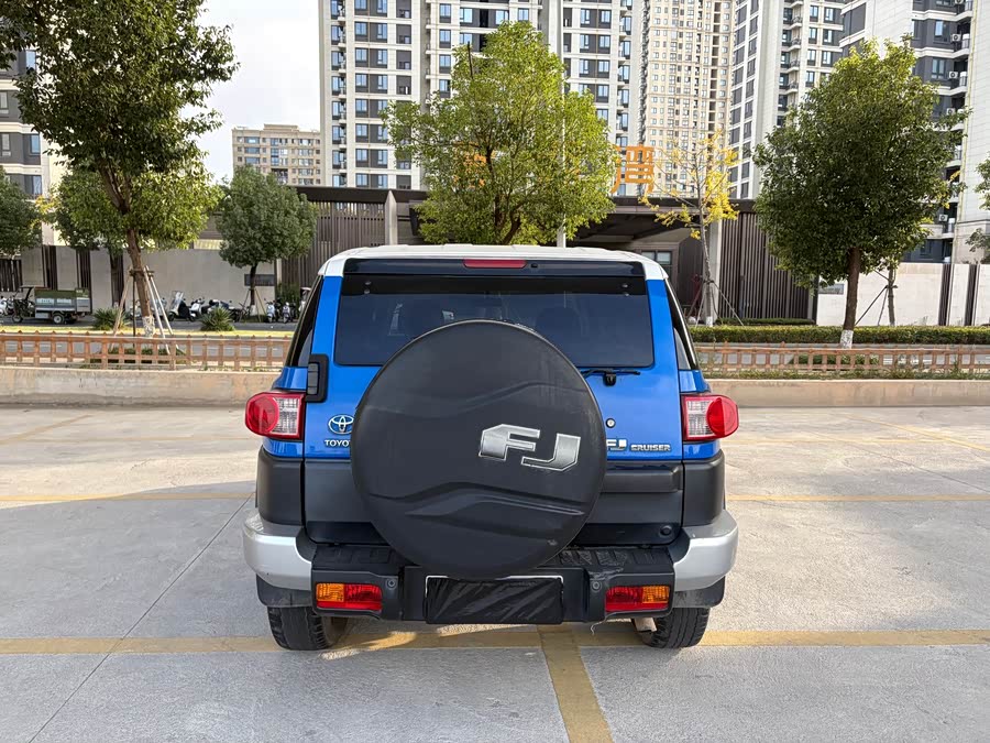 Toyota FJ Cruiser 2008 immagine di auto #5