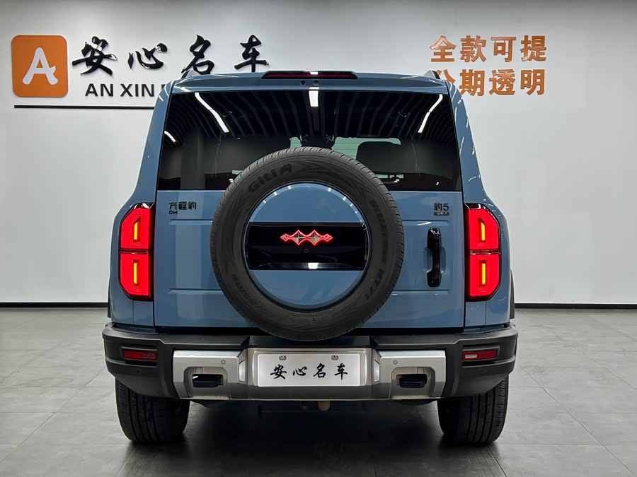 FangChengBao Leopard 5 2024 car image #5