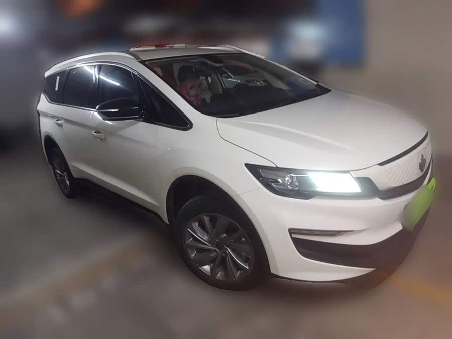 睿蓝汽车 枫叶80v PRO 2023 汽车图片 #5