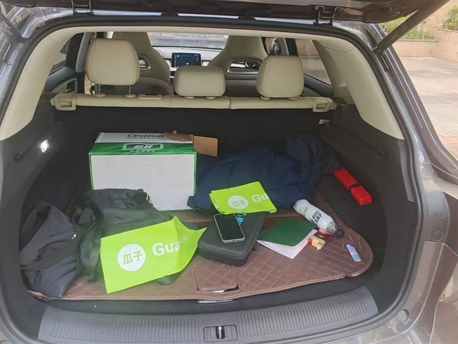 MG Pilot 2021 car image #5