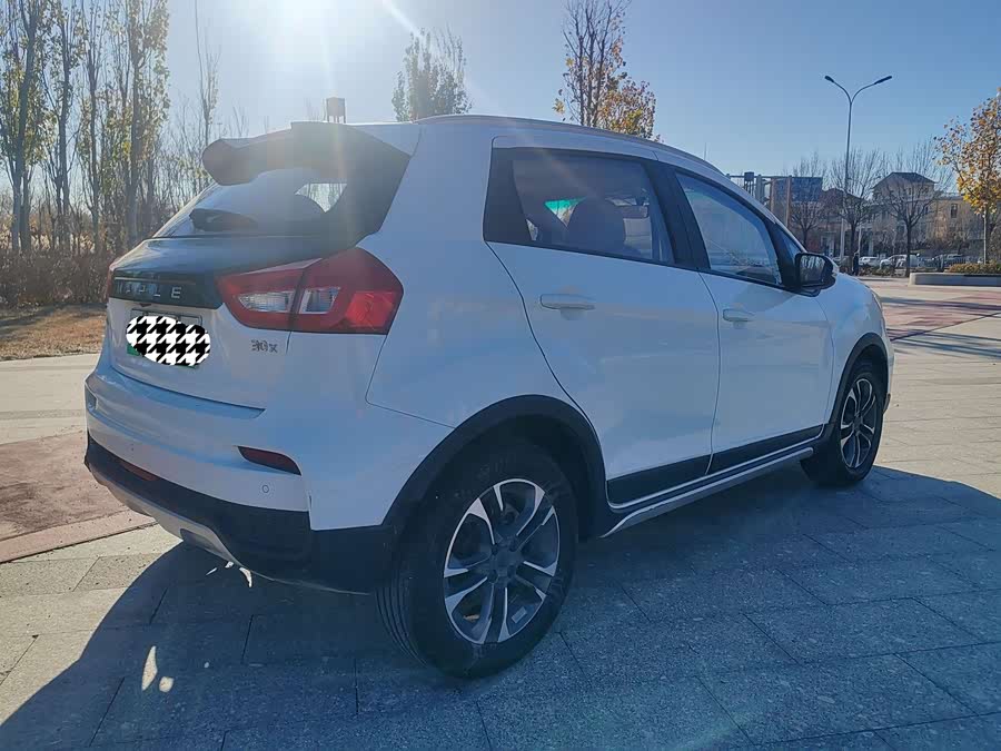 睿蓝汽车 枫叶30X 2021 汽车图片 #5