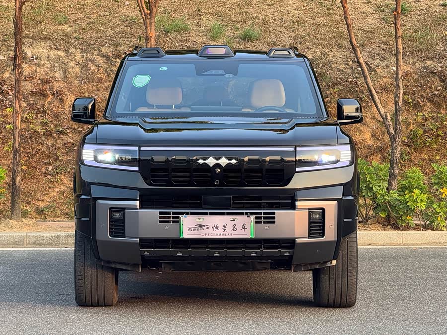 FangChengBao Leopard 8 2024 car image #5