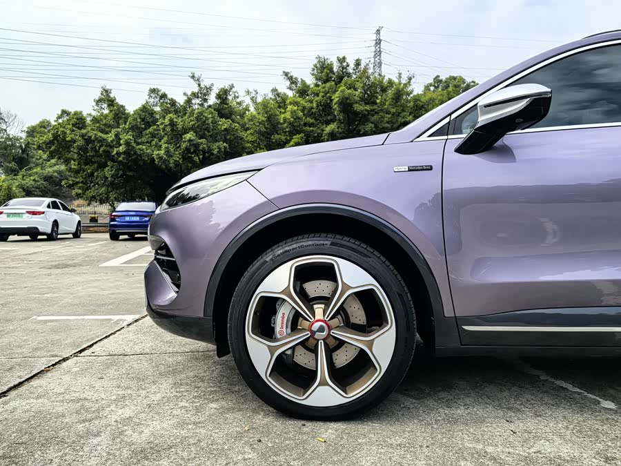 Denza X 2020 car image #5