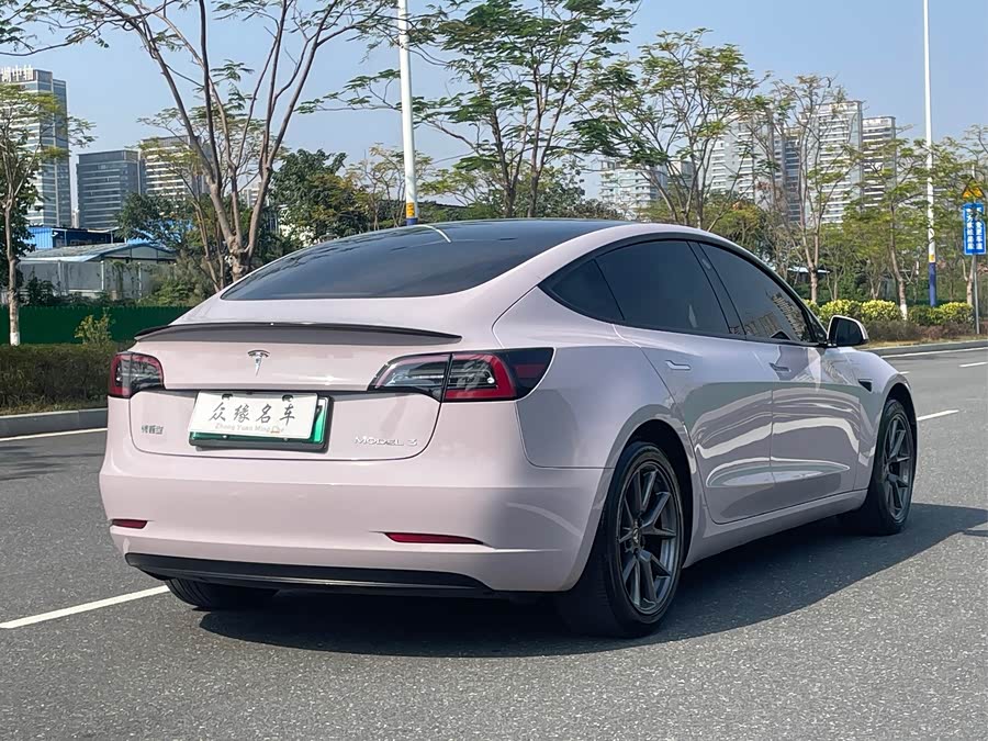 Tesla Model 3 2020 image de voiture #5