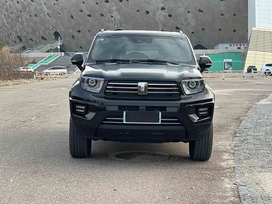 Tank 700 New Energy 2025 immagine di auto #5