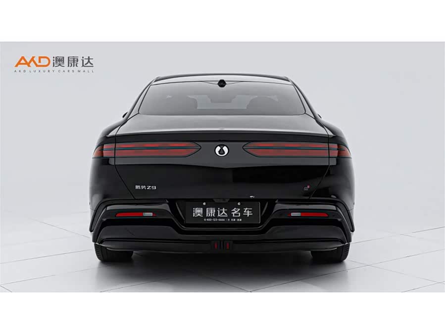 Denza Z9 2024 imagem de carro #5