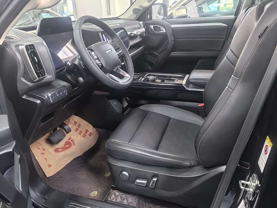 Haval X Dog / Dargo 2022 immagine di auto #5