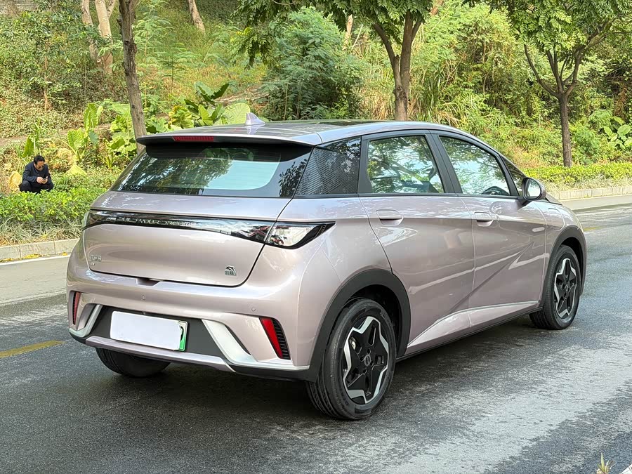 比亚迪 海豚 2022 汽车图片 #5