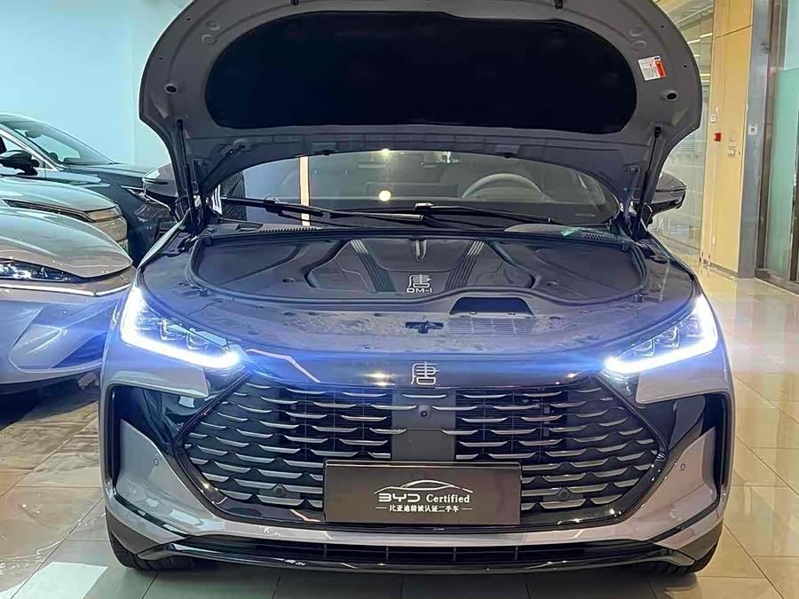 BYD Tang New Energy 2025 car image #5