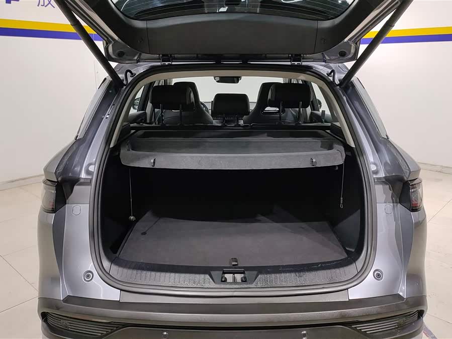 BYD Sea Lion 05 DM-i 2025 car image #5