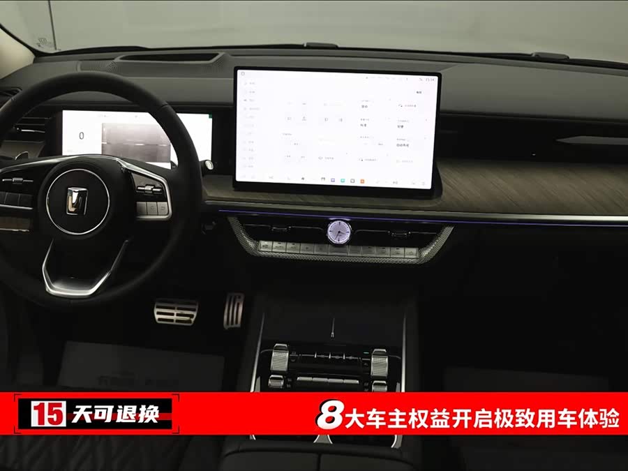 Tank 500 New Energy 2023 car image #5