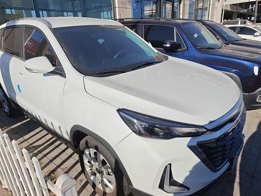 Beijing X3 2020 immagine di auto #5