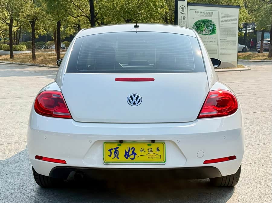 Volkswagen Beetle 2013 immagine di auto #5