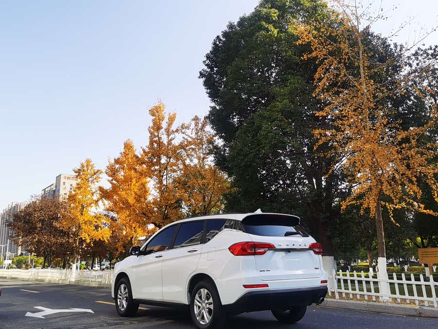 Haval M6 2019 #5 Haval M6 2019 car image #5