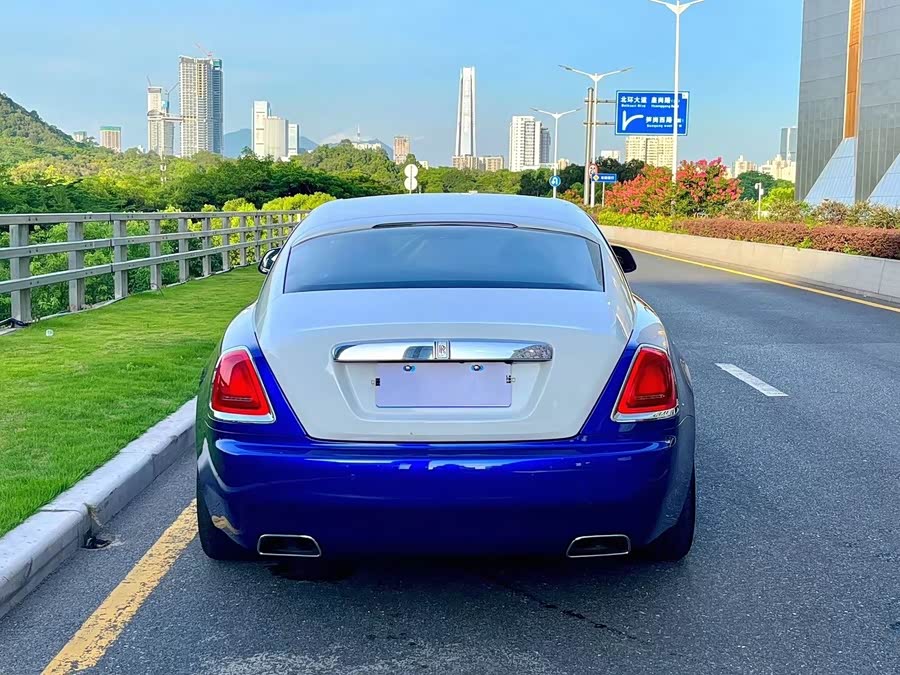 Denza Wraith 2018 car image #5