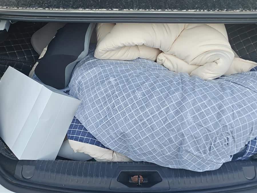 Chery Arrizo 5 Plus 2022 car image #5