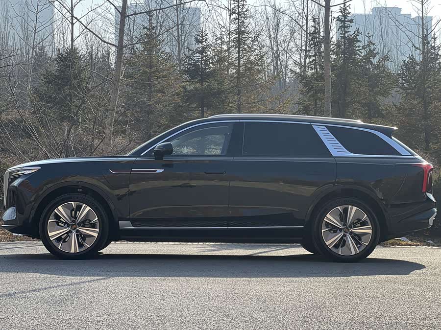 HongQi E-HS9 2023 صورة سيارة #5