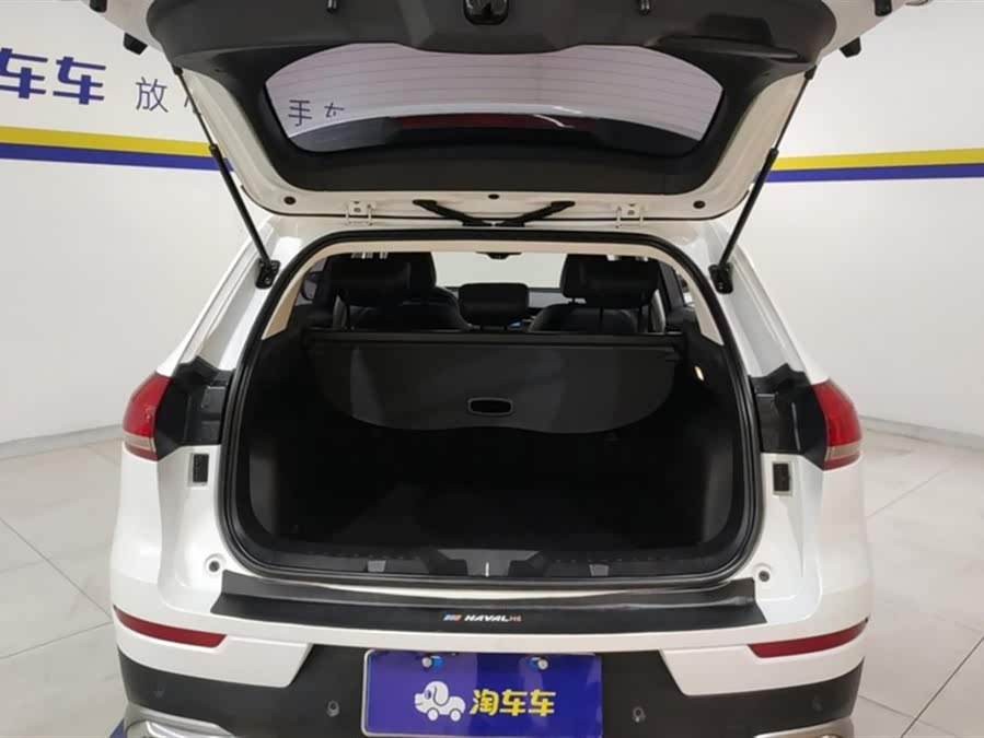 Haval H6 2021 car image #5
