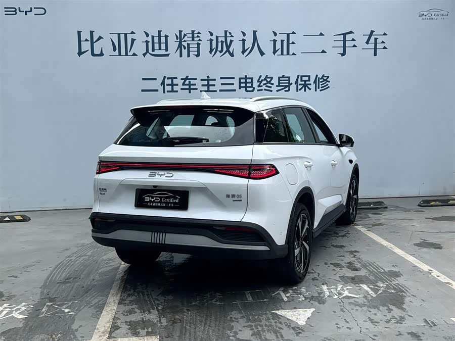 BYD Sea Lion 05 DM-i 2025 car image #5