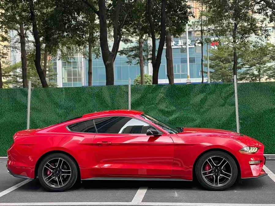 Ford Mustang 2019 #5 Ford Mustang 2019 immagine di auto #5