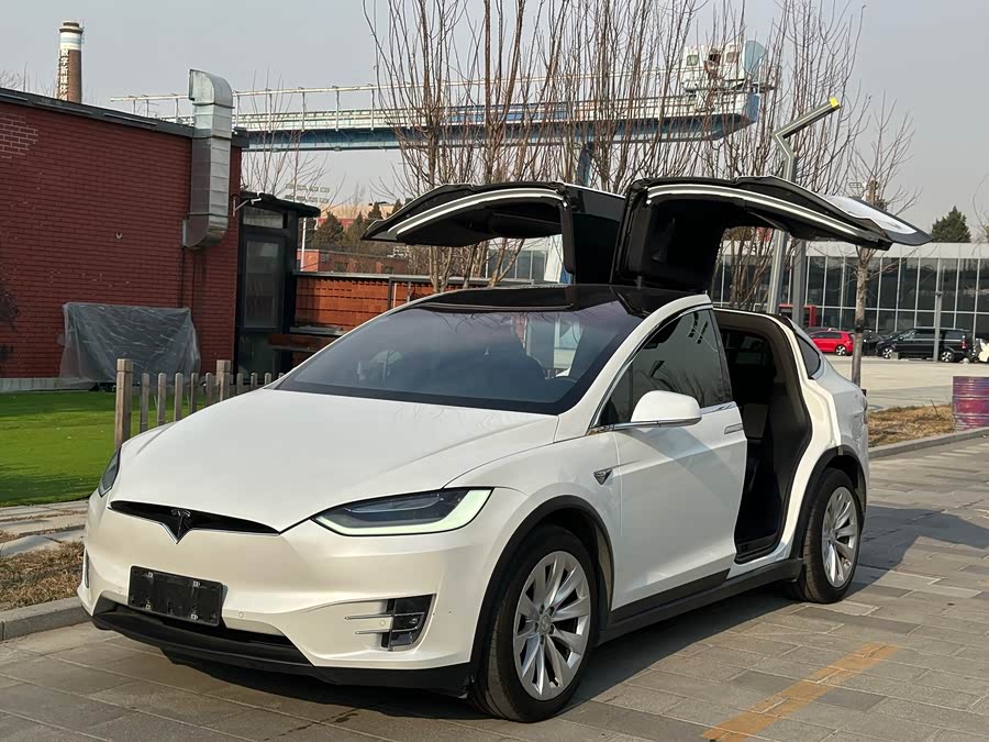 Tesla Model X 2020 #5 Tesla Model X 2020 car image #5