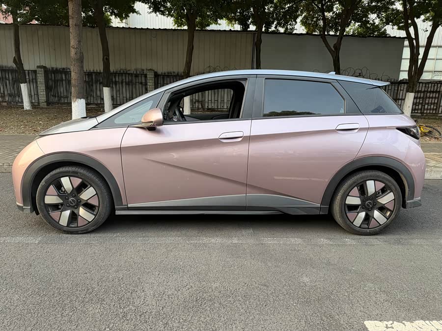BYD Dolphin 2022 car image #5